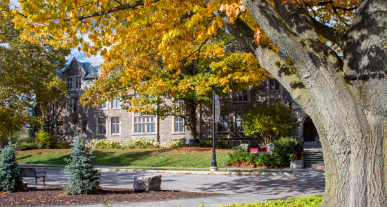 Student Wellness Centre - Student Wellness Centre